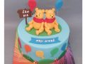 Pooh_twins_site