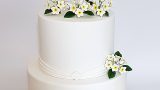 wedding_cake_liza&gay0